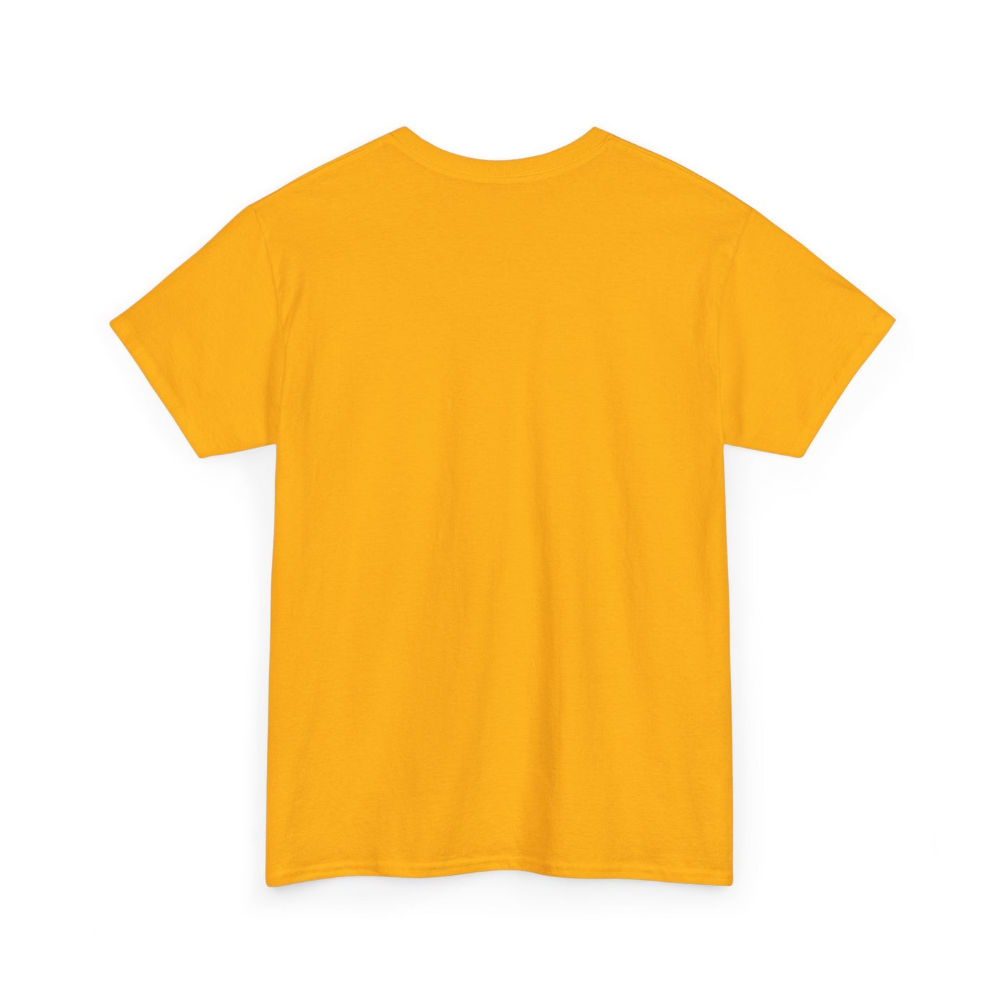 Vintage Color Full Armor...Unisex Heavy Cotton Tee