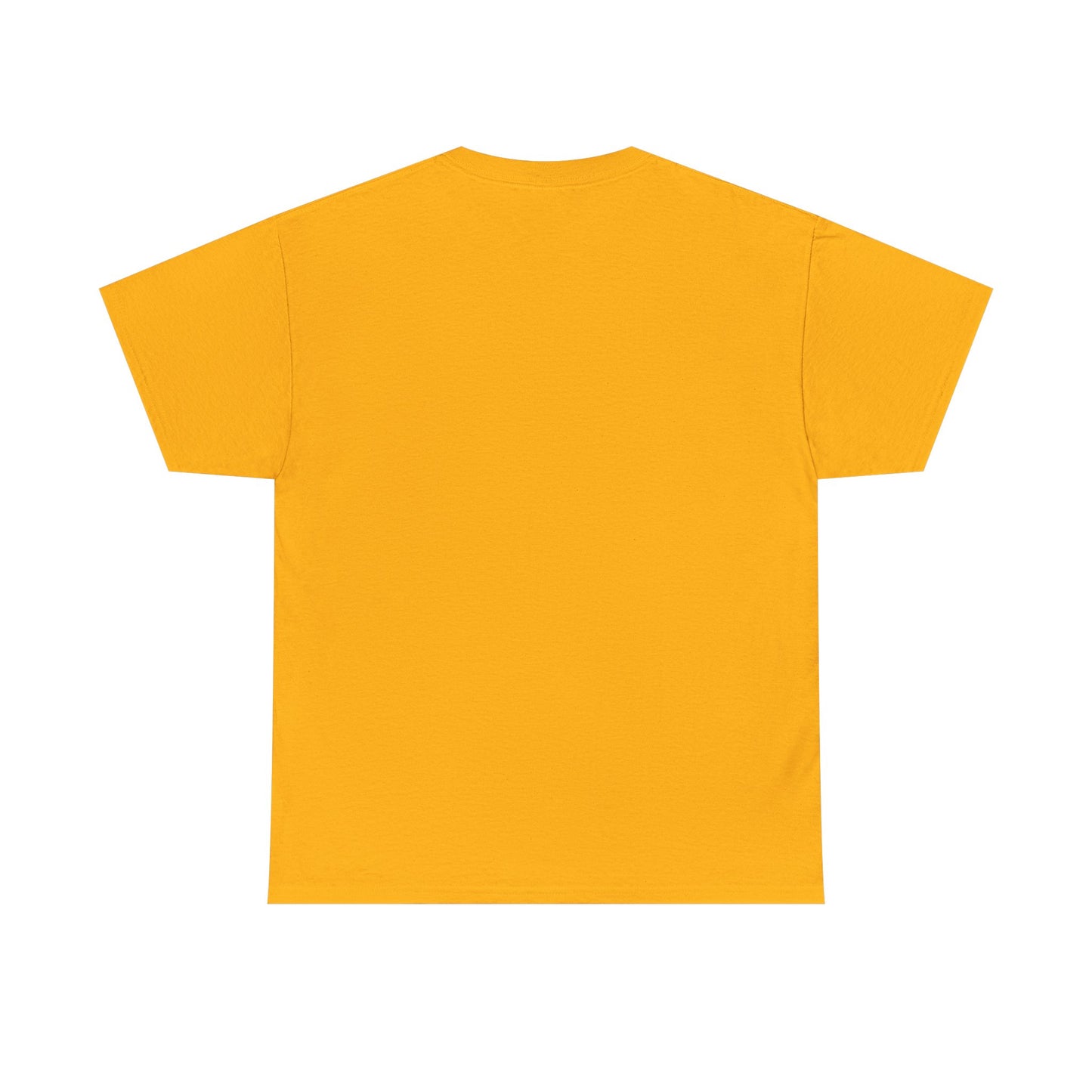 Vintage Color Full Armor...Unisex Heavy Cotton Tee